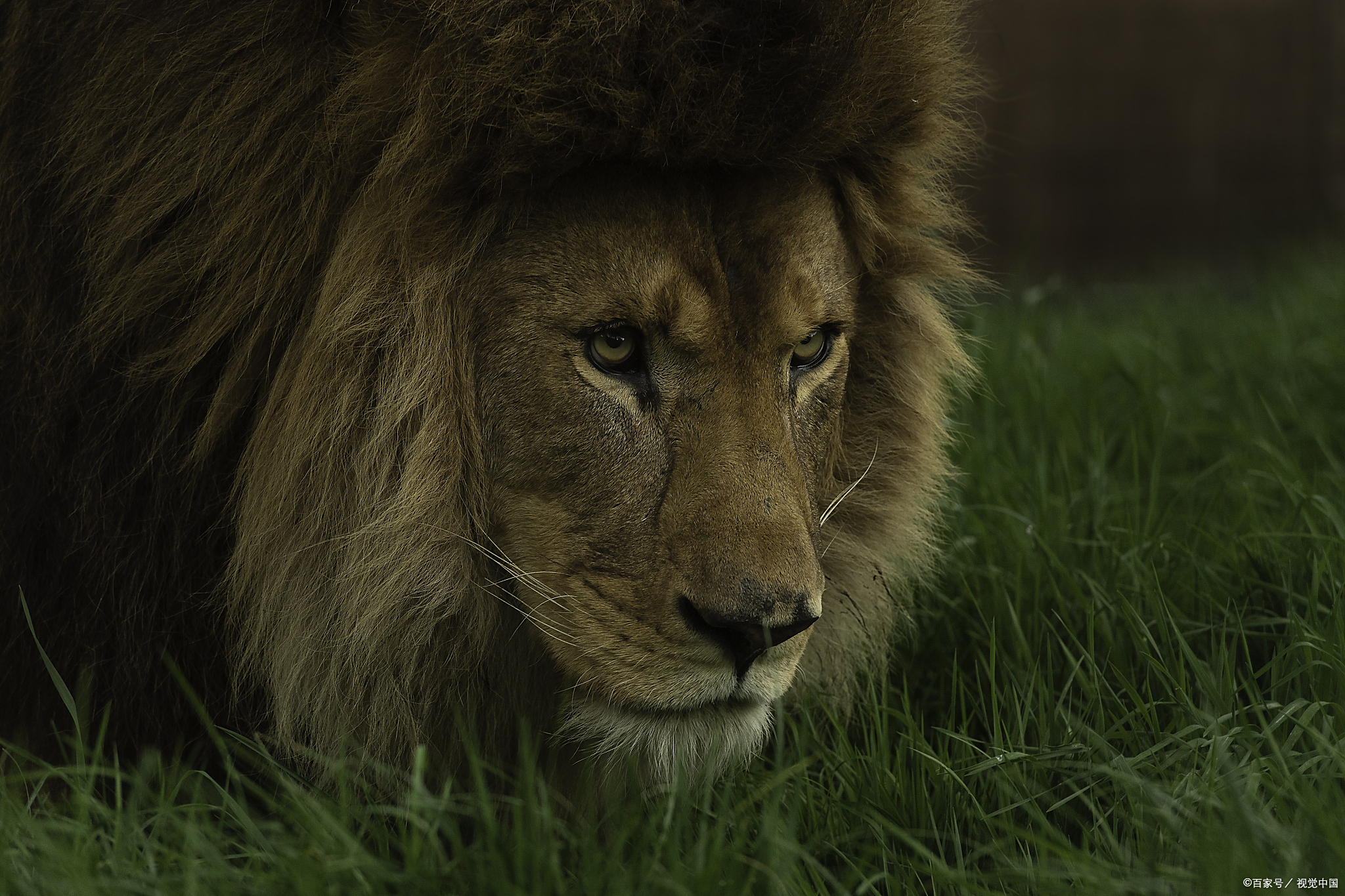 杏彩体育官网入口-包含莱比锡红牛遇强拫弱，势不可挡的词条